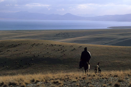 KYR021LM Kyrgyz horseman