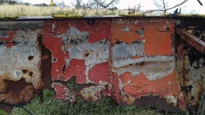 40080744_10155756858198479_6007870025388523520_n