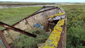 40097780_10155756858513479_3437925195061395456_n