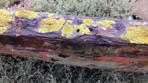 40102434_10155756858303479_5552828732982427648_n