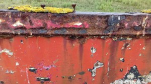 40198871_10155756858423479_9090802373705596928_n