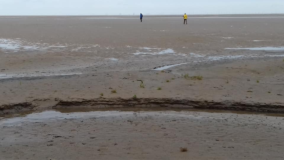 40272992_10155756858738479_3221181783592665088_n